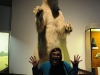 Museum Bear